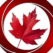 Novusimmigration Bangalore Aalia